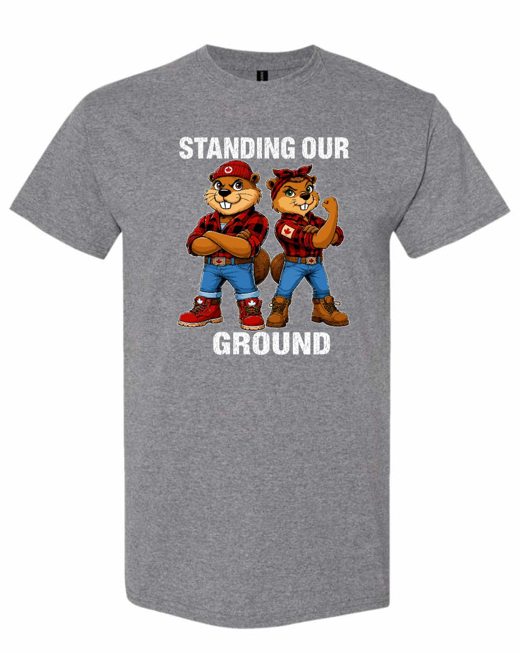 Standing Our Ground Men's Tee in Graphite Heather