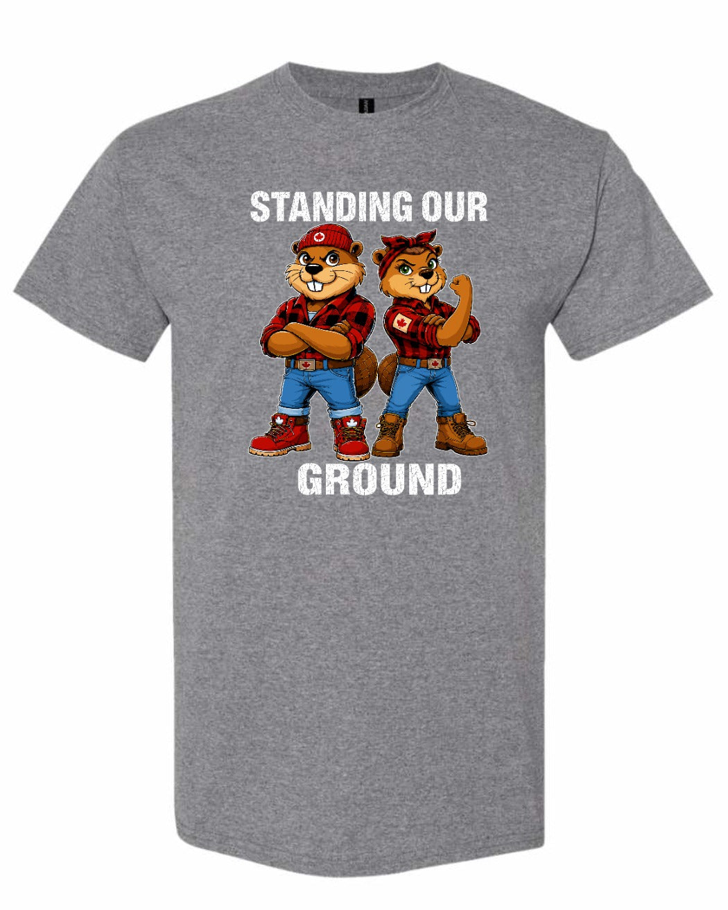 Standing Our Ground Men's Tee in Graphite Heather