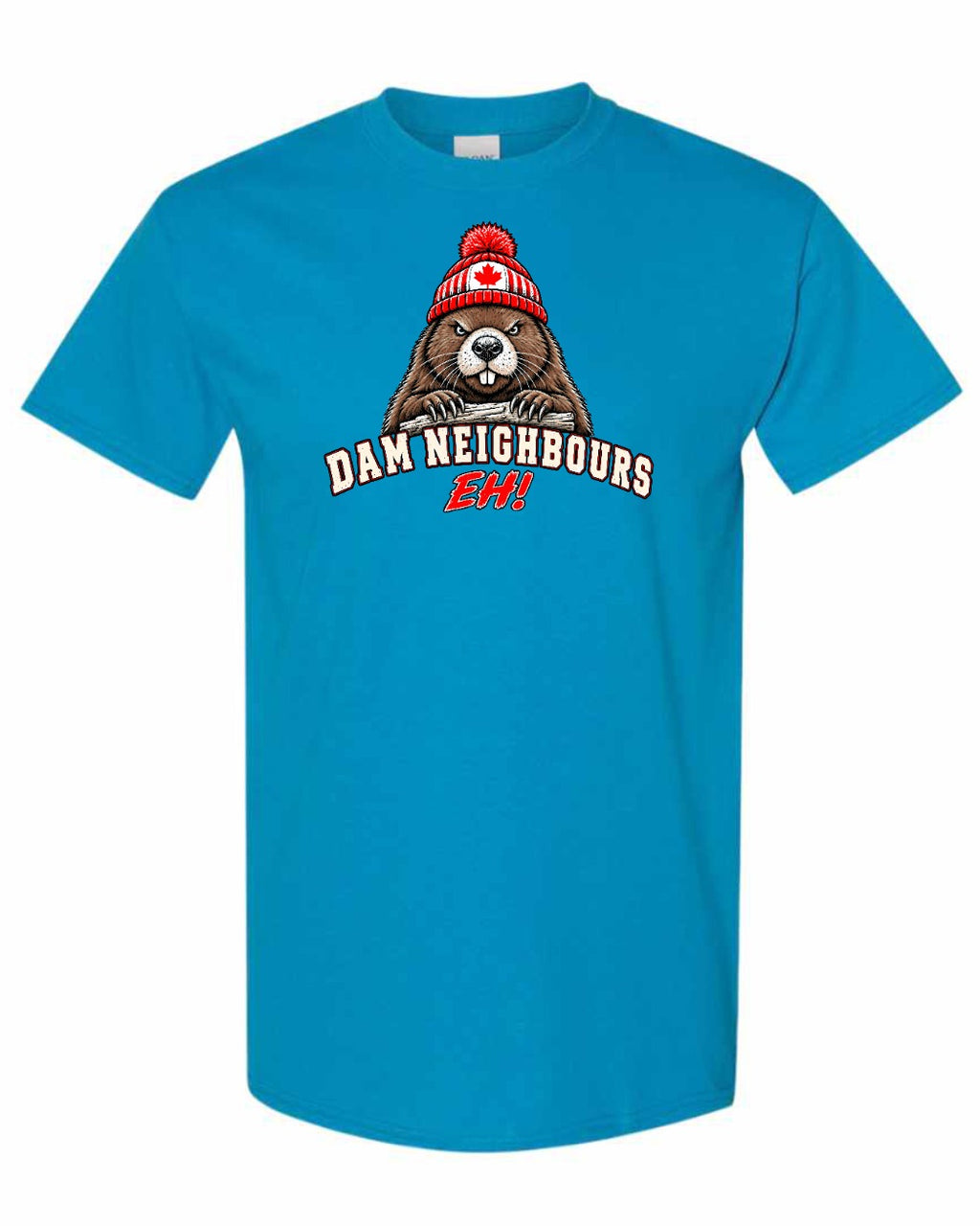 Dam Neighbours Full Front Men's Tee