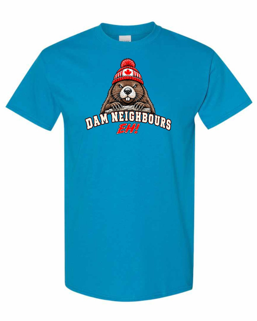 Dam Neighbours Full Front Men's Tee