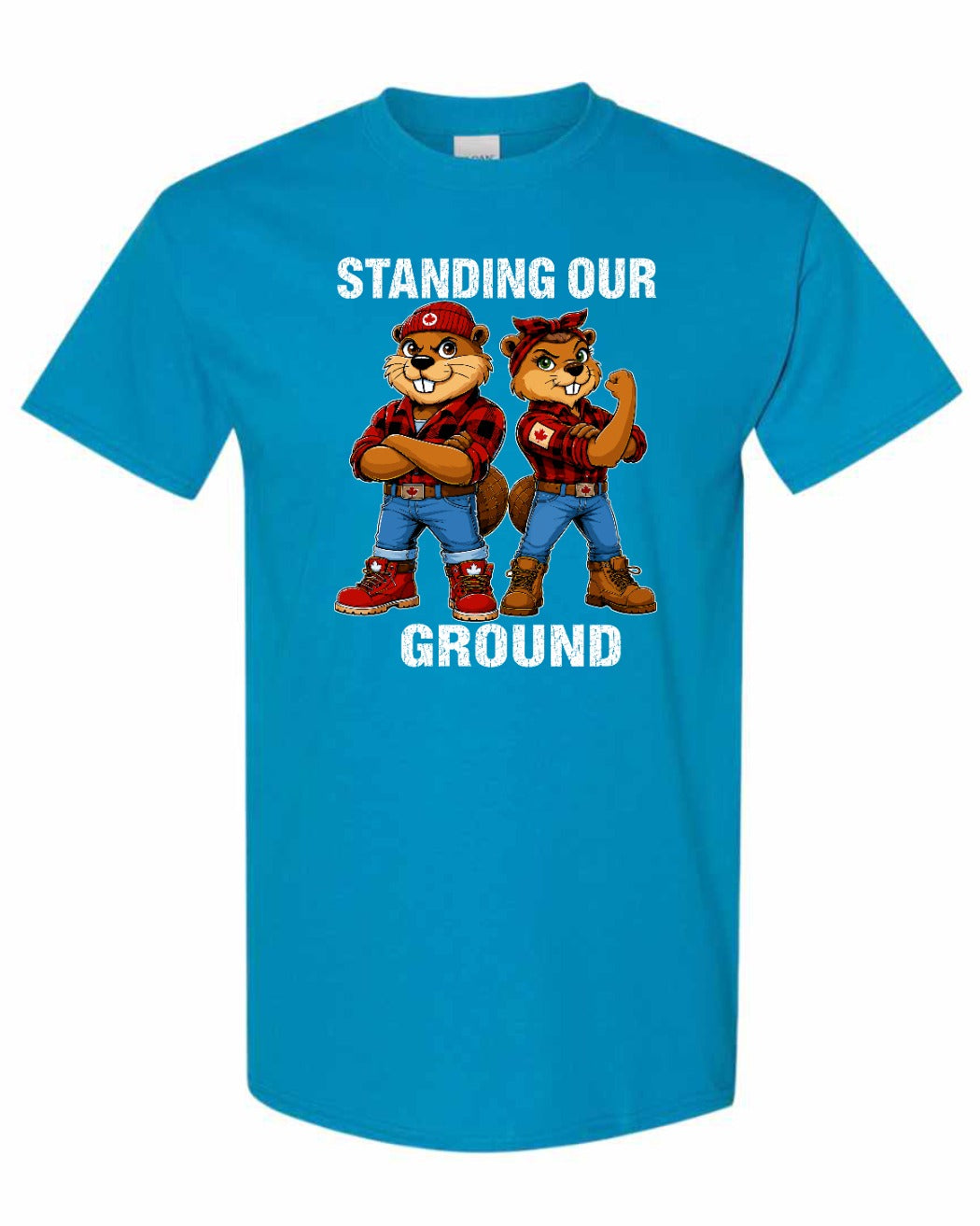 Standing Our Ground Men's Tee in Sapphire