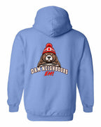 Dam Neighbours Left Chest and Back Pullover Hoodie in Carolina Blue - back