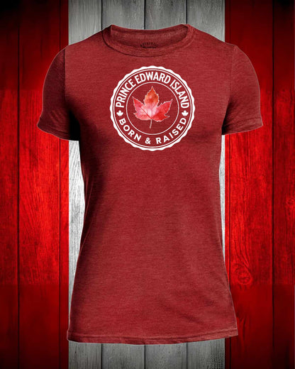 Prince Edward Island Born and Raised Full Front Men's Stanfield's Tee